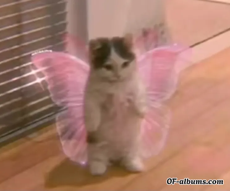 Image #4 of fiorellagg