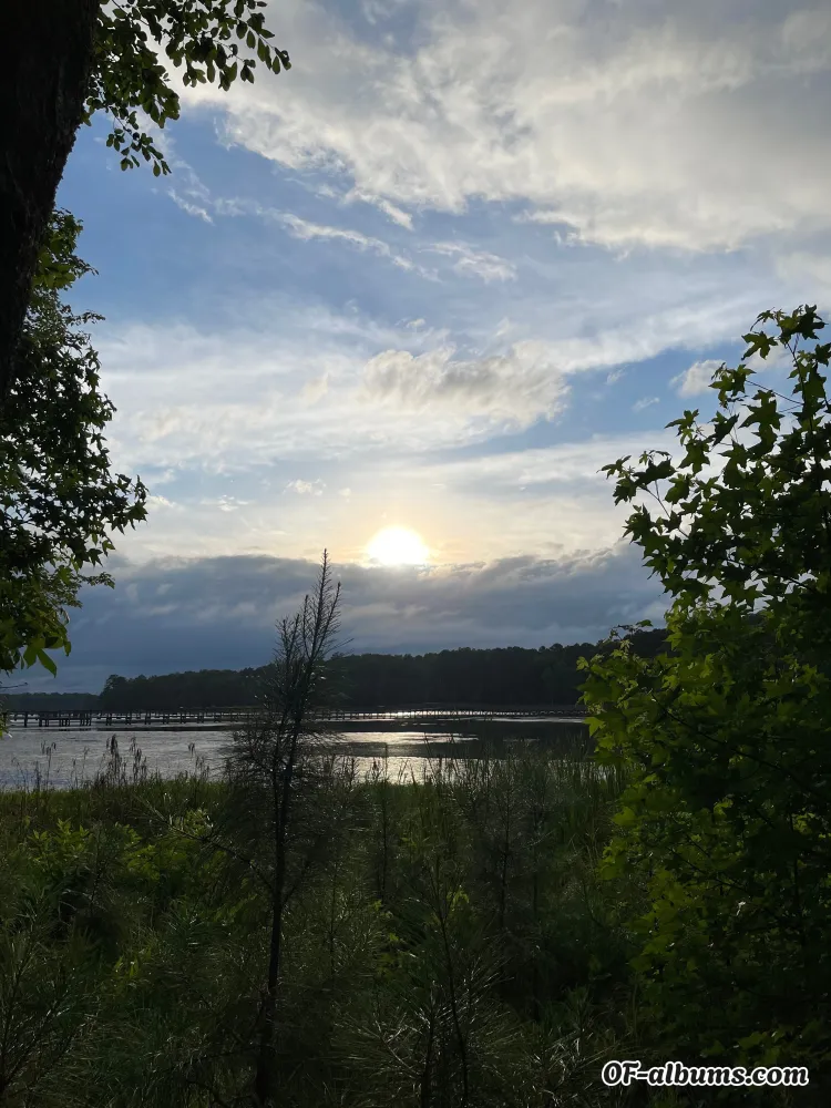 Image #1 of fluff_daddy.1