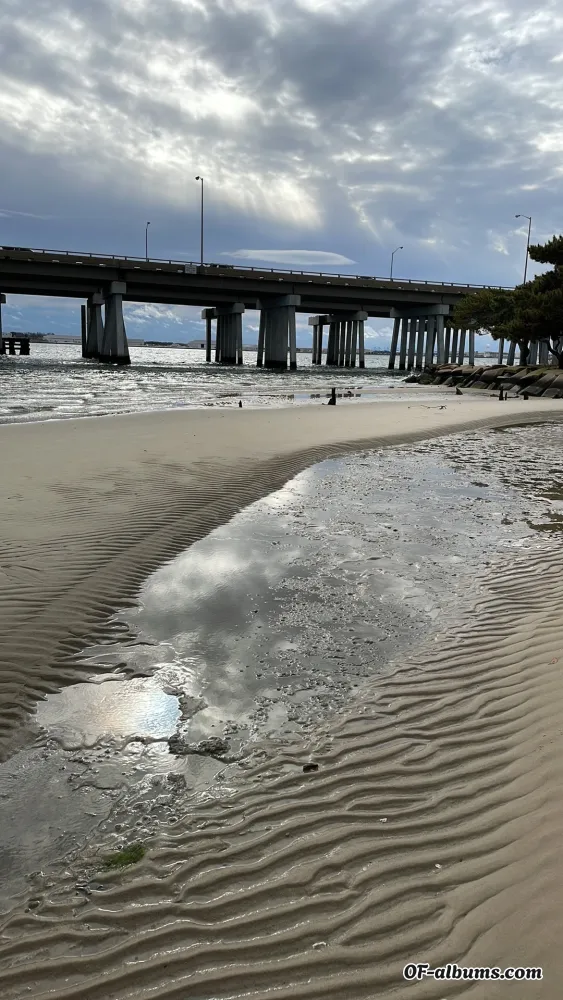 Image #2 of fluff_daddy.1