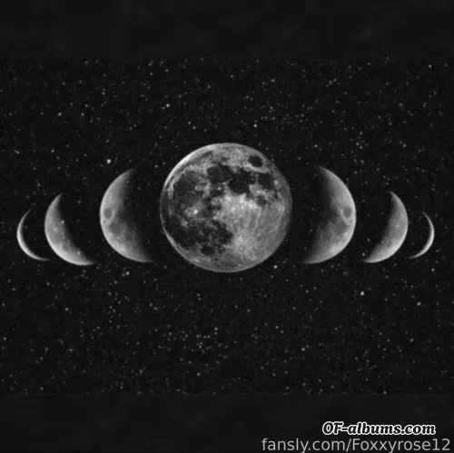 Image #3 of foxxyrose12