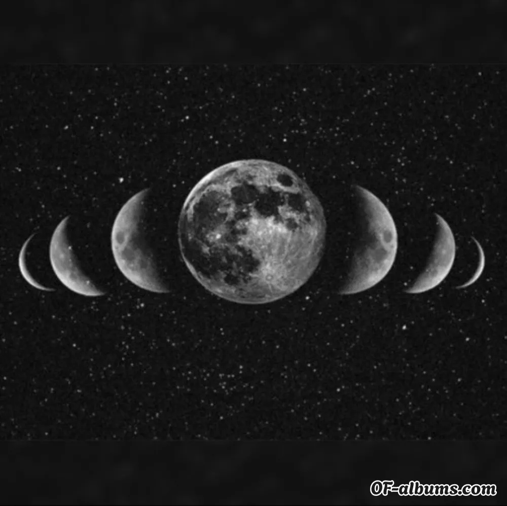 Image #5 of foxxyrose12