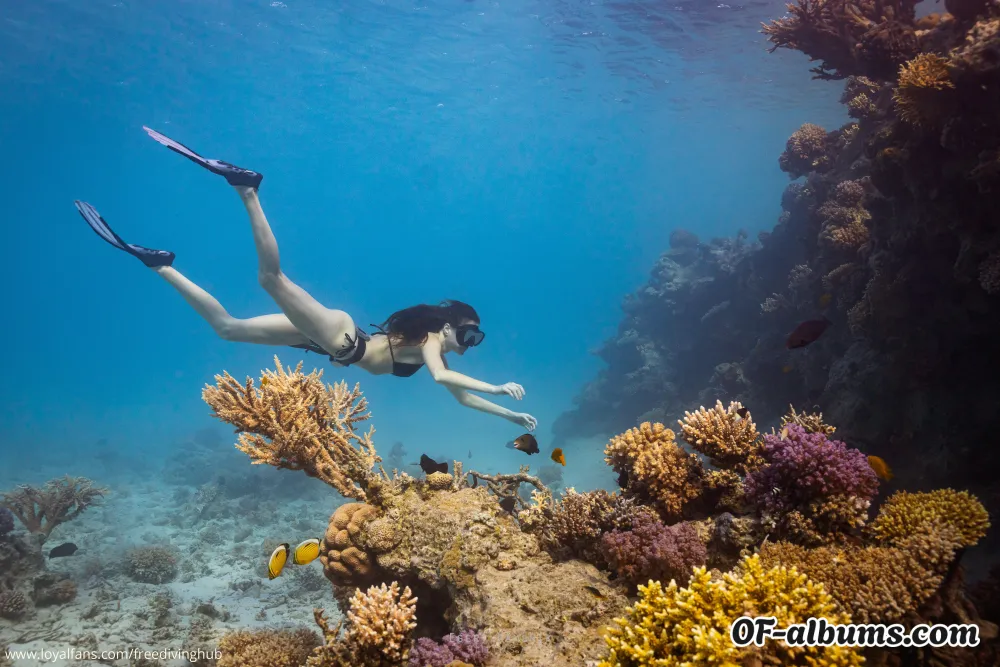 Image #2 of freedivinghub