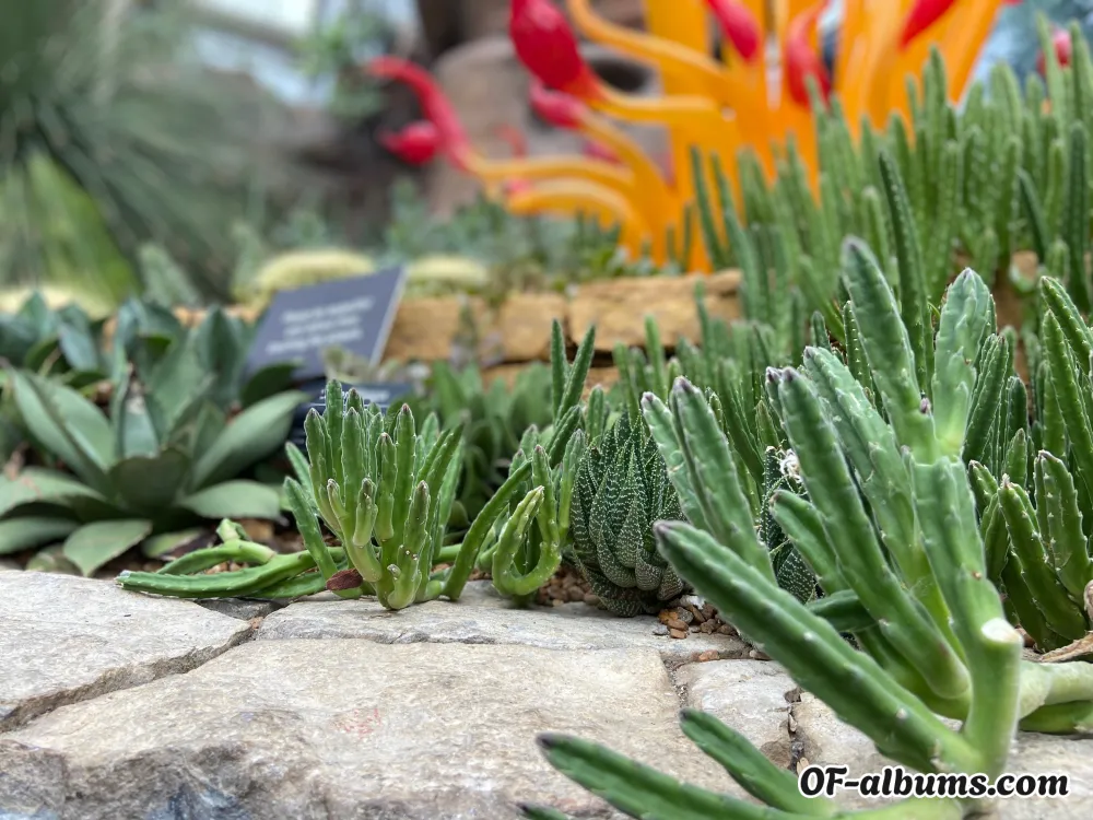 Image #2 of friendlyneighborhoodewok