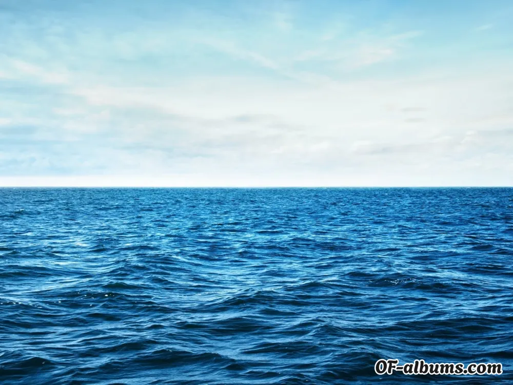 Image #2 of funbro05