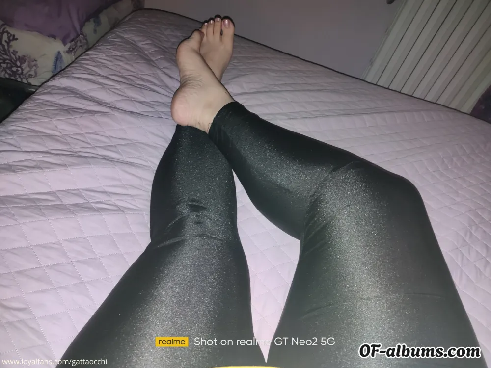 Image #2 of gattaocchi