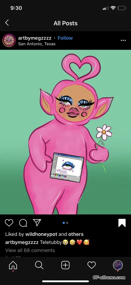 Image #1 of geesegalore