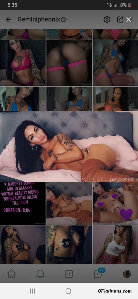 Image #2 of geminipheonix