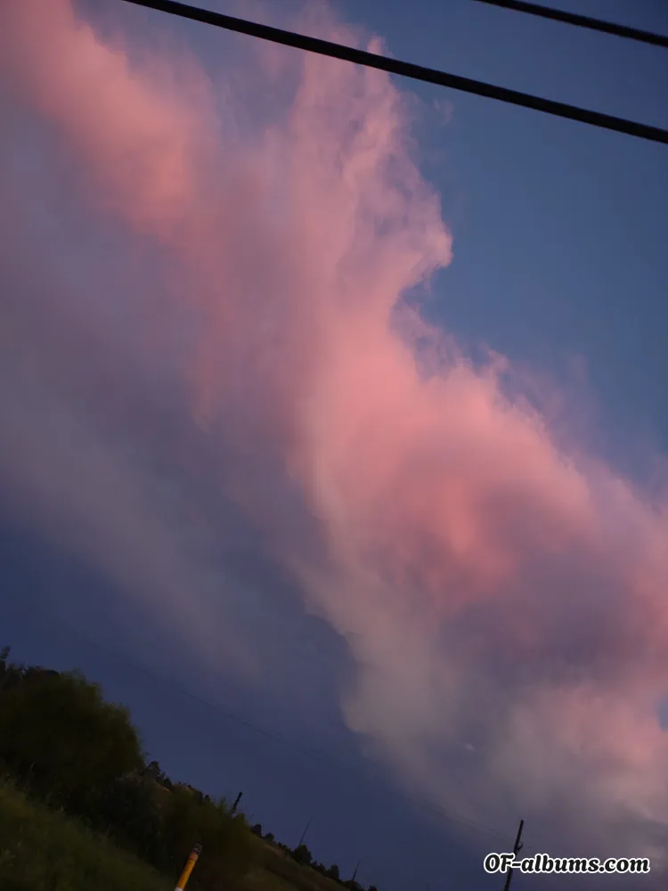 Image #2 of ghost223z