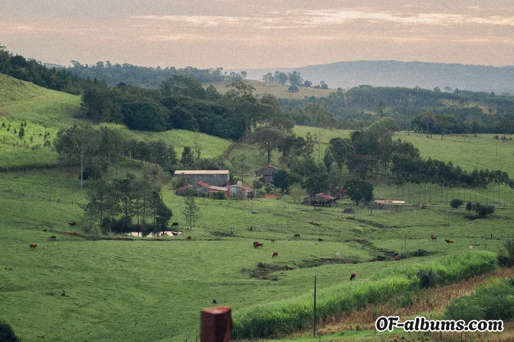 Image #2 of gian_kedit