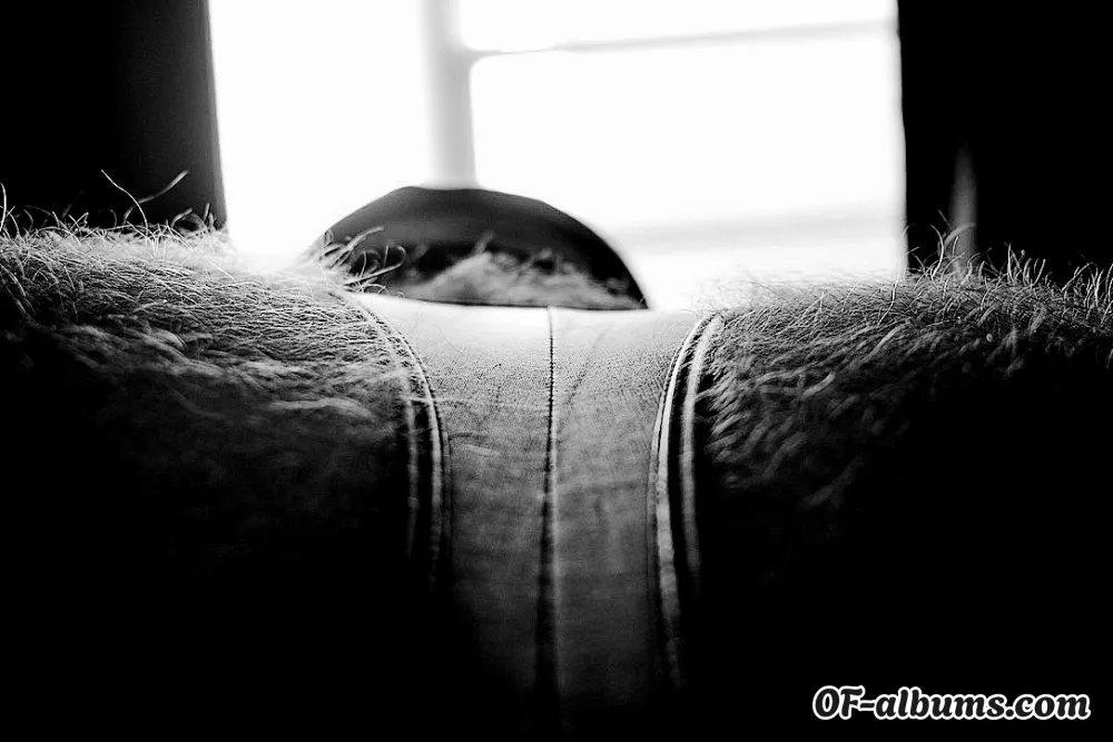 Image #2 of gingerbear69