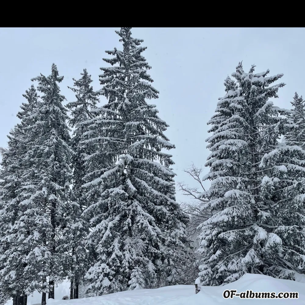 Image #2 of gioia.jo