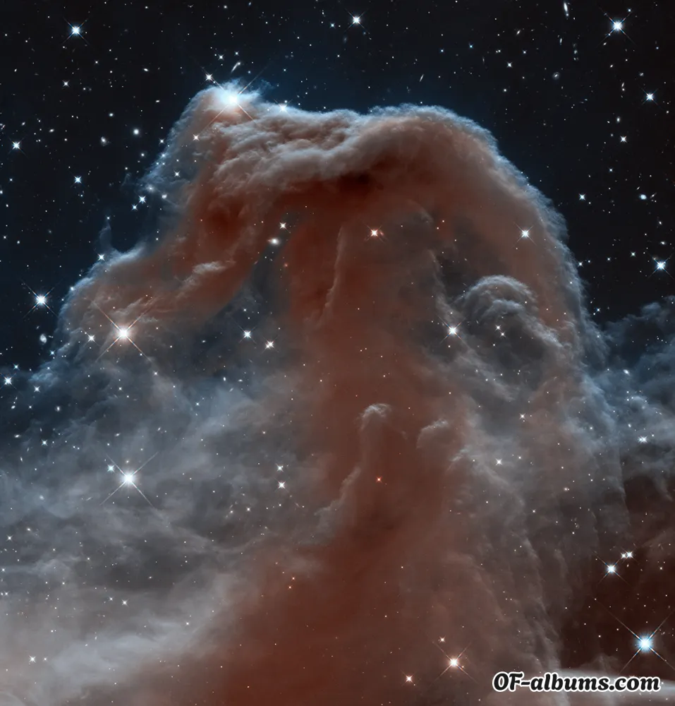 Image #2 of girthbybirth