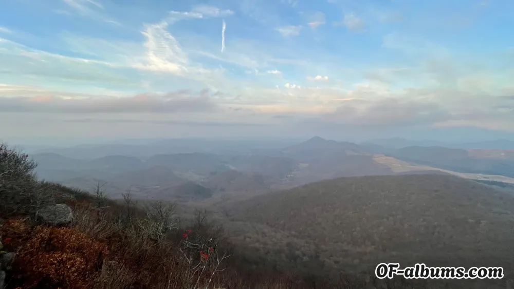 Image #2 of goodboycolt