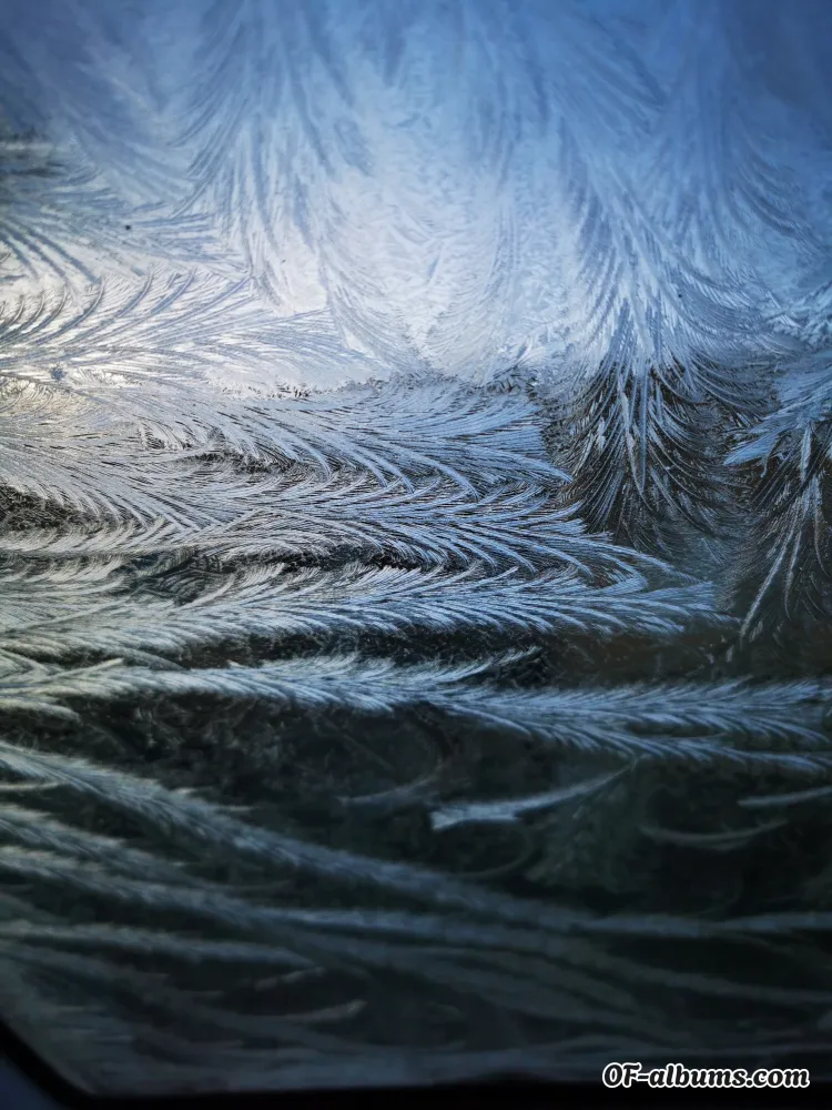 Image #1 of greywolf74