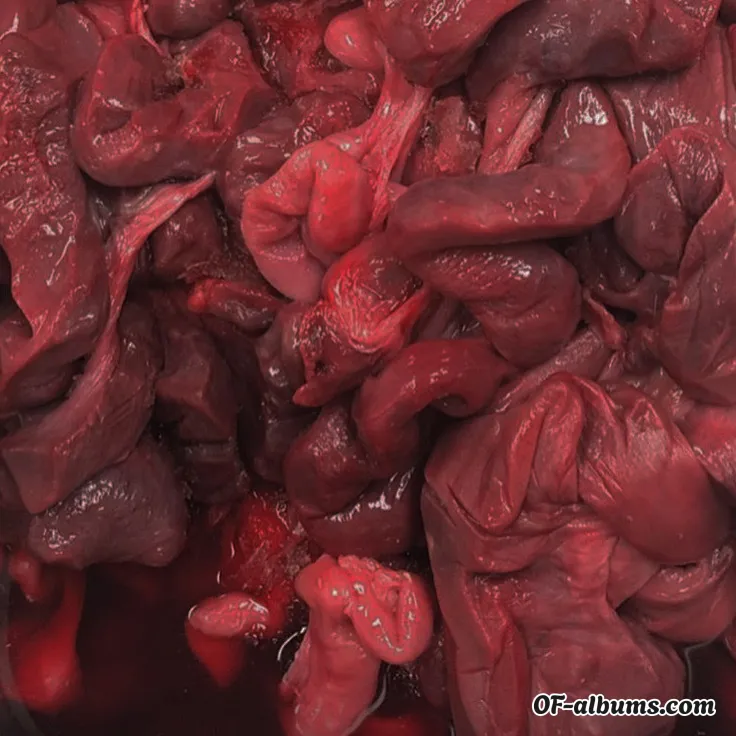 Image #2 of halocoil