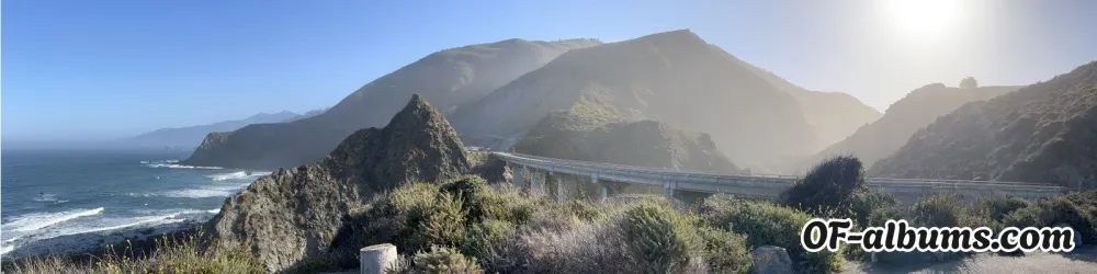 Image #2 of hamgoneham