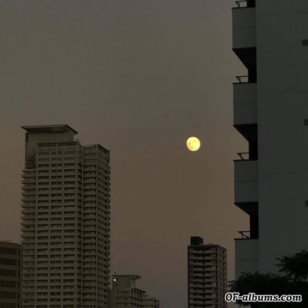 Image #2 of happyabsurdity