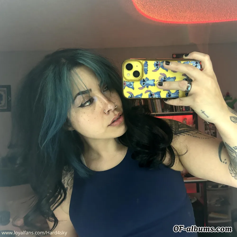 Image #4 of hard4sky