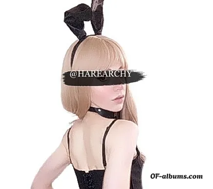 Image #4 of harearchy