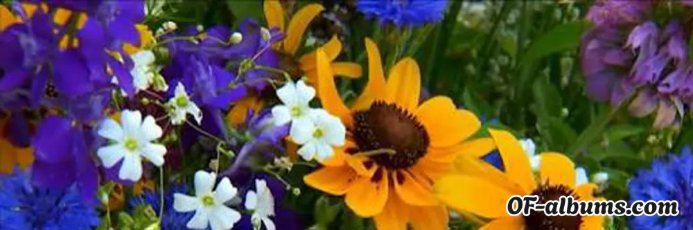 Image #2 of hockey_boi