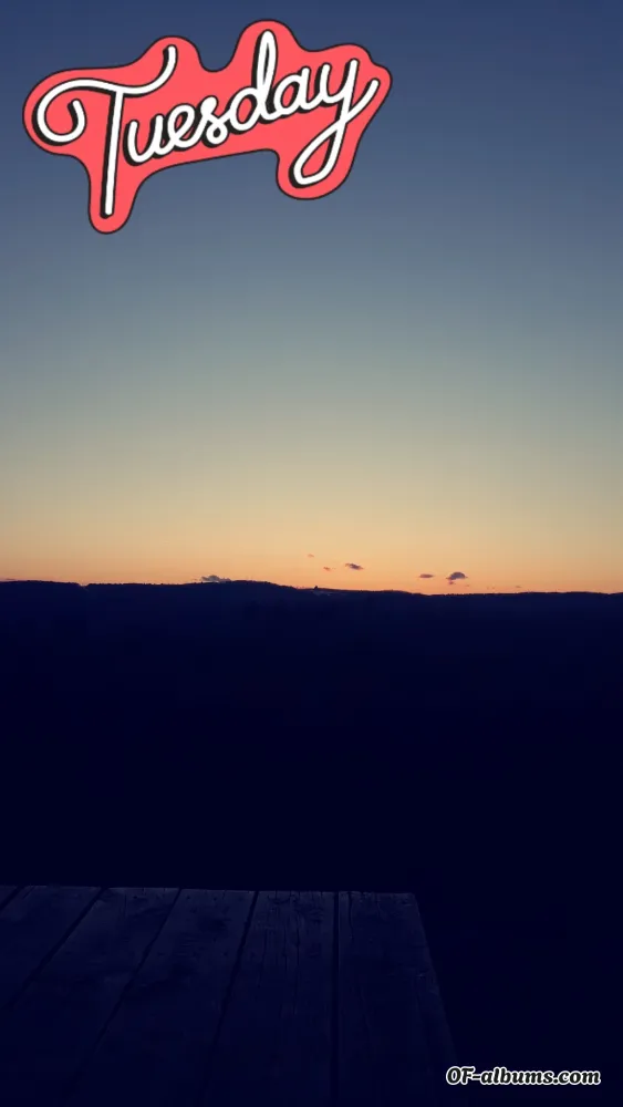 Image #2 of hollyhops