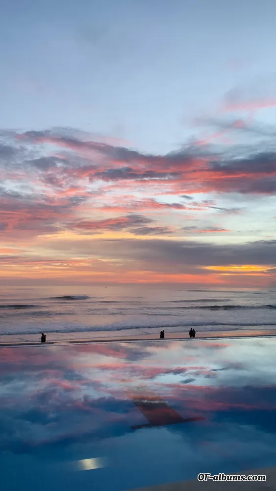 Image #2 of holymolydamien