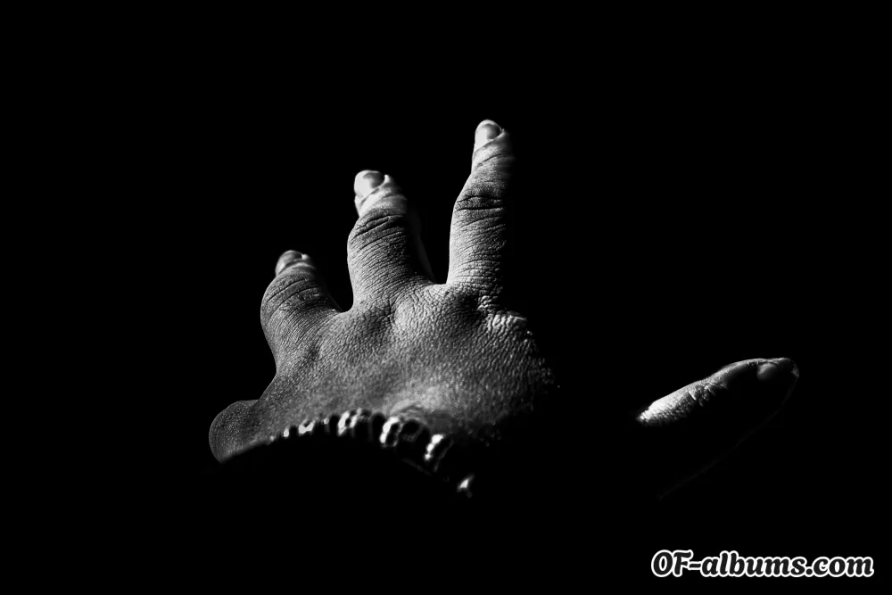 Image #2 of horusfphotos