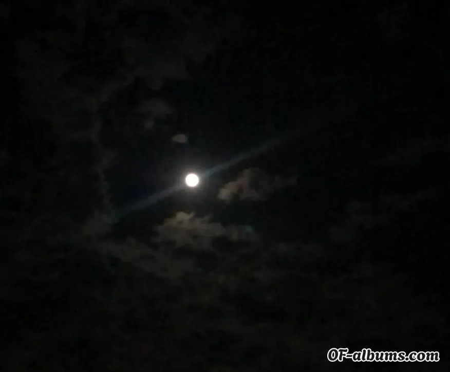 Image #2 of huffygirl6969