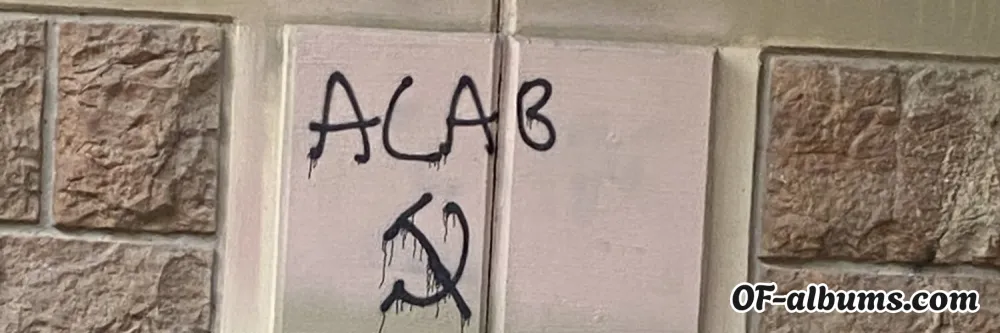 Image #2 of irishscorpio