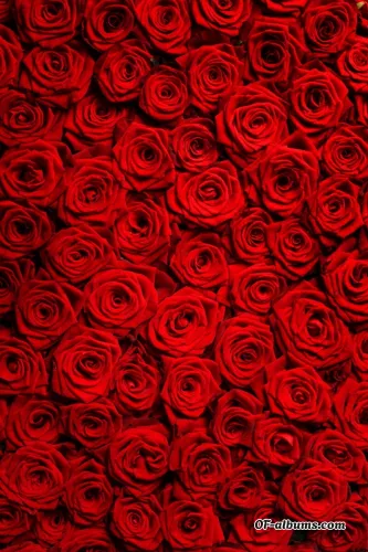 Image #3 of itsmrs.kay