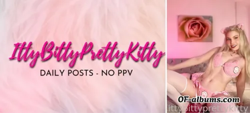 Image #3 of ittybittyprettykitty