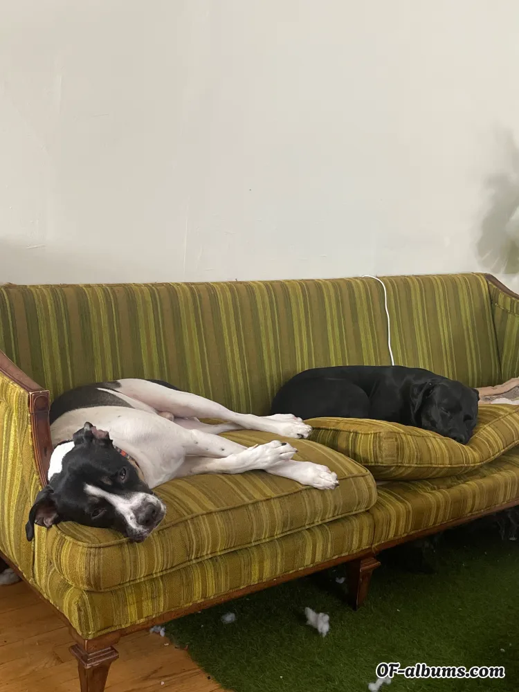 Image #2 of izzyisdying69