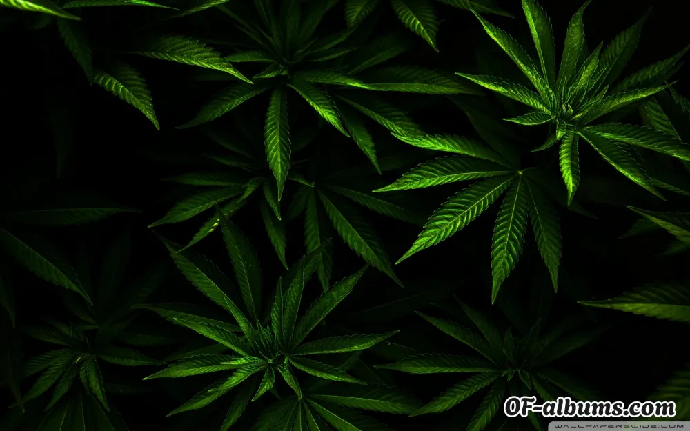 Image #2 of jade_brooks01