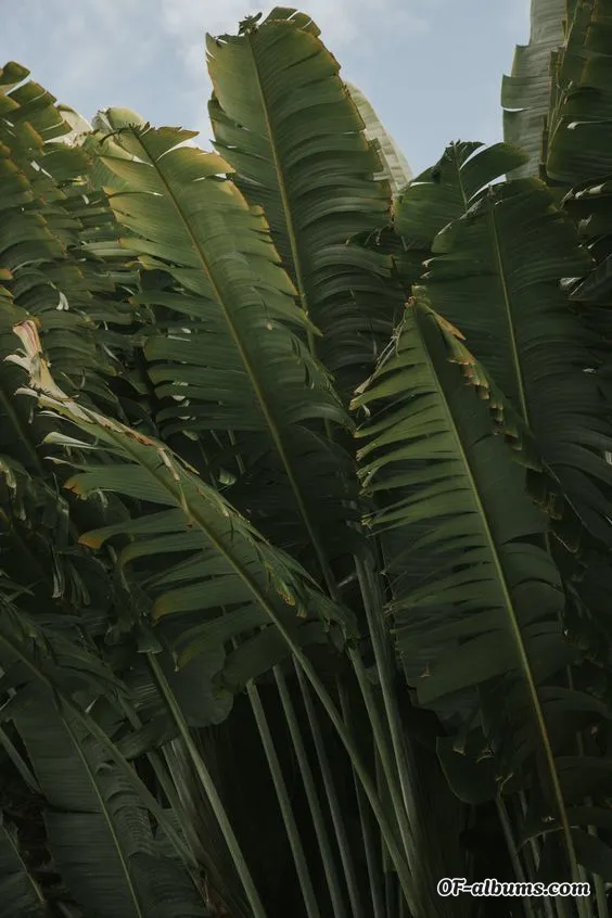 Image #2 of janaeegf