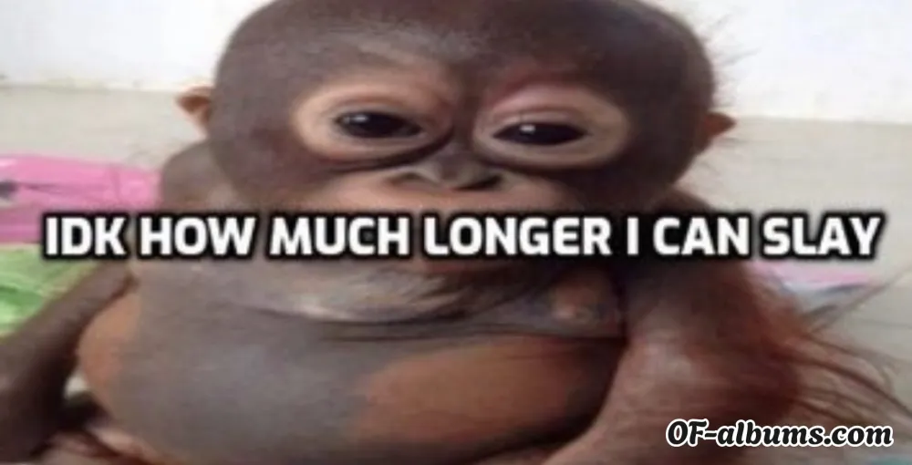 Image #2 of jayynearlo