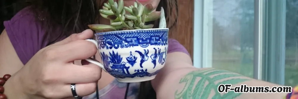 Image #2 of jellytits2