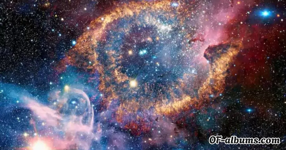 Image #2 of jennytabordafree