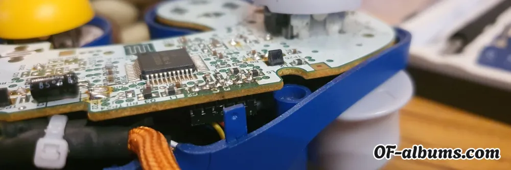 Image #2 of joey-lee