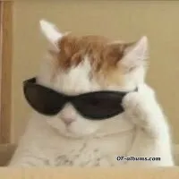 Image #2 of johnny1_6