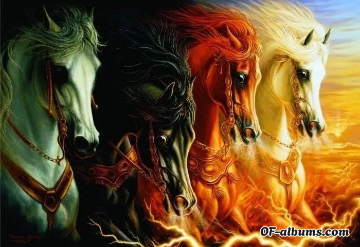 Image #3 of judijudijudis