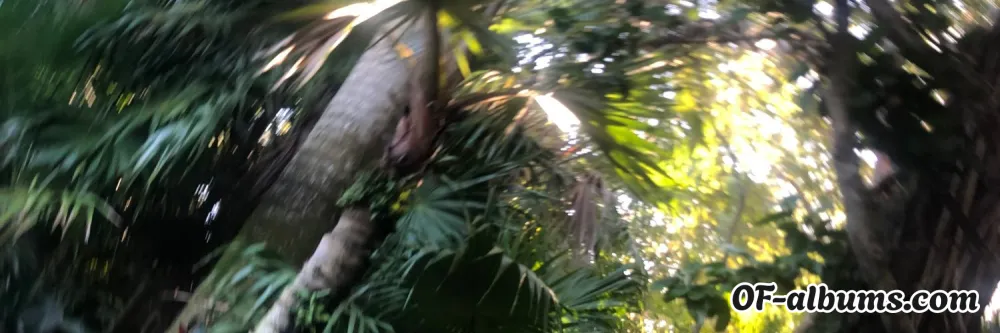 Image #2 of juicymangolips