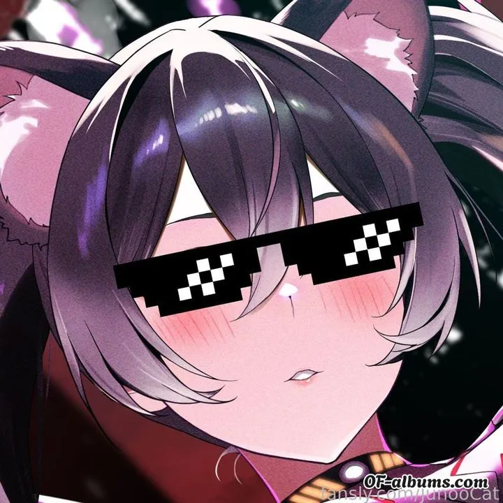 Image #1 of junoocat