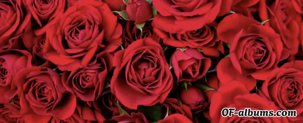 Image #2 of justsomegirl25