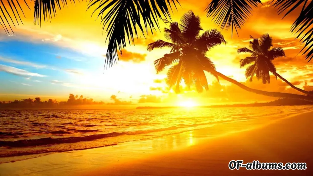 Image #2 of kallielove