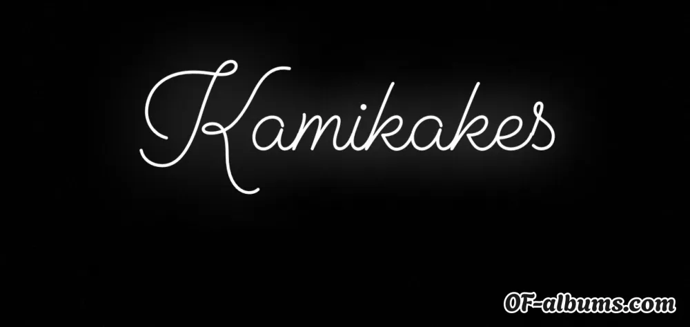Image #2 of kamikakes3