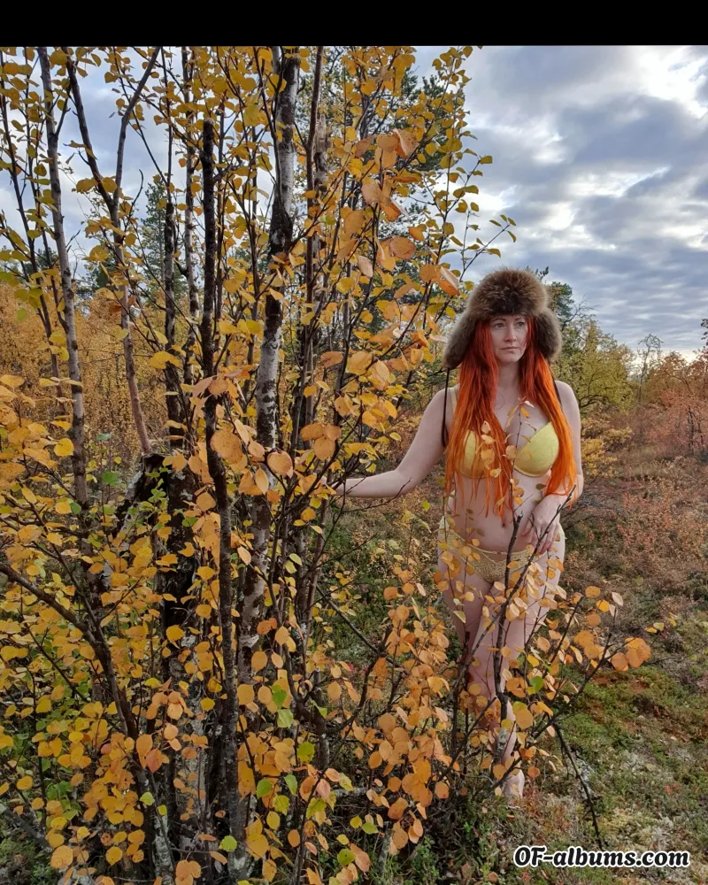Image #2 of karvalakkinainen