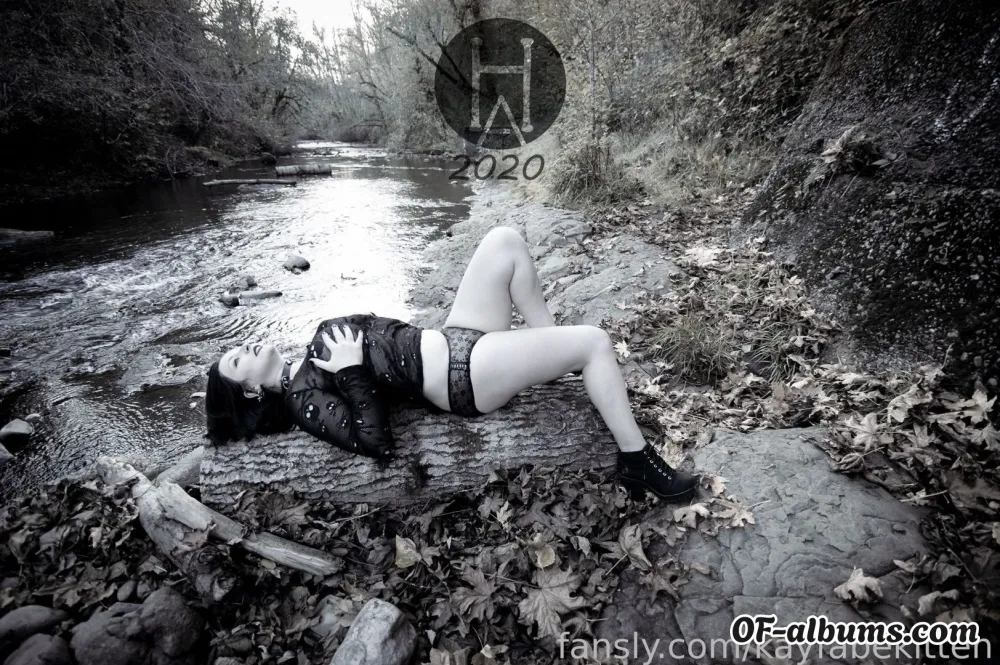 Image #2 of kayfabekitten