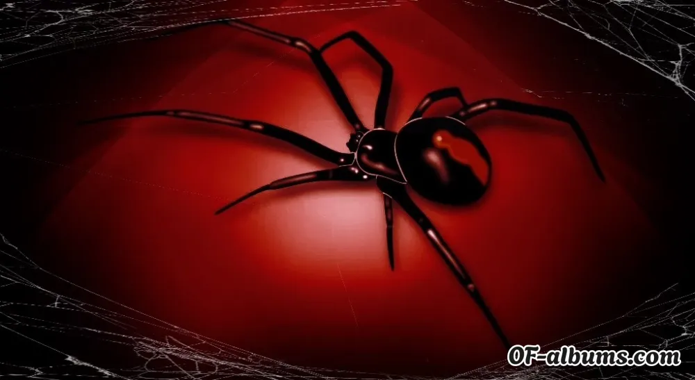 Image #3 of killllaaa_qu33n