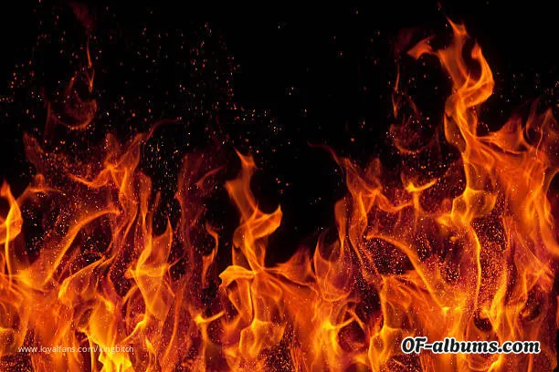 Image #2 of kingbitch