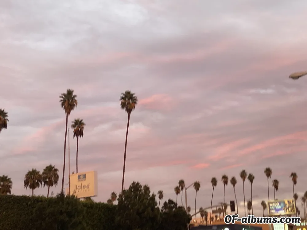 Image #2 of kittybit